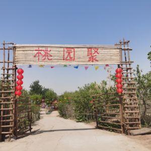 滹沱河桃園聚農家樂