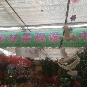長安區(qū)肖家營聚寶林景觀設(shè)計中心